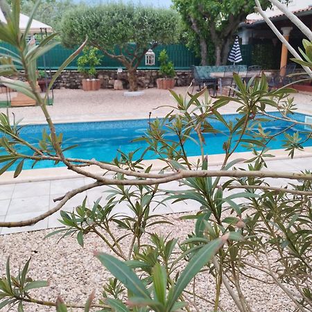 Villa Lucky Brtonigla Exterior foto